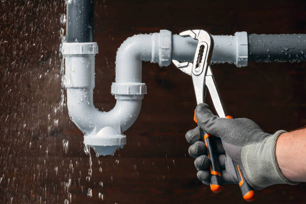Professional Plumbing technician working in Hubbardston, MI